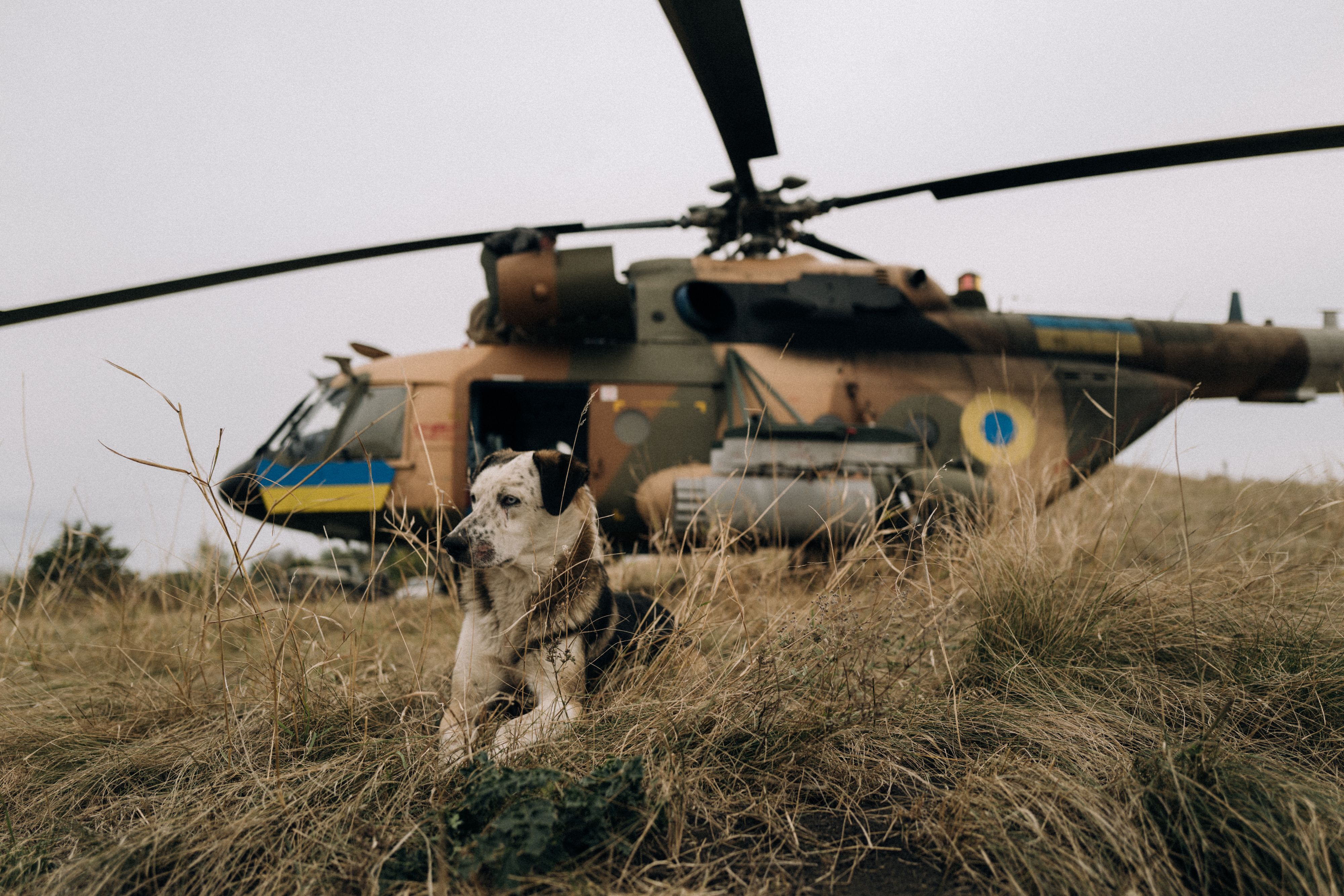 Підйомна сила